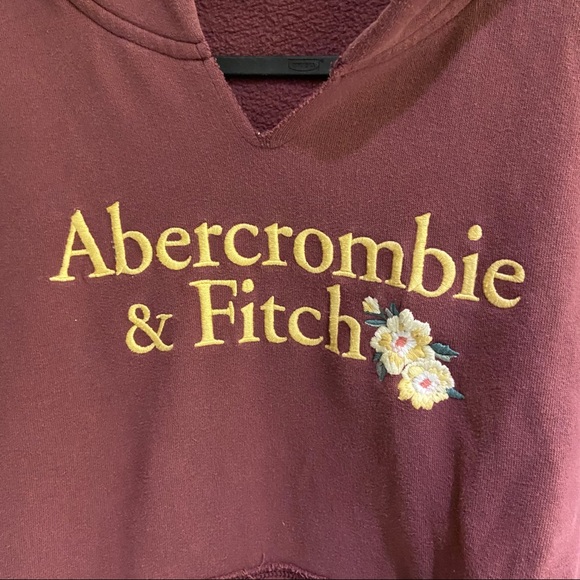 Abercrombie & Fitch Hoodie - Picture 2 of 4